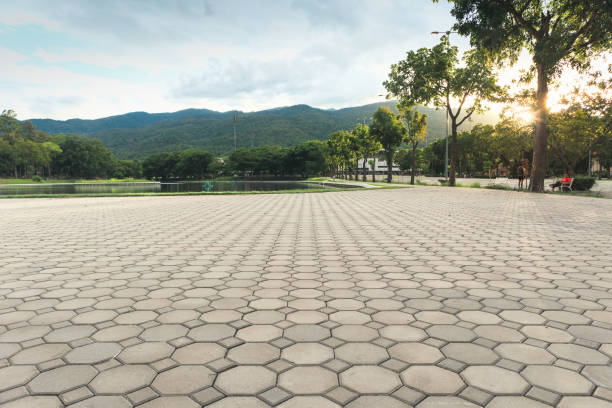 Best Custom Driveway Pavers  in Hawthorne, FL